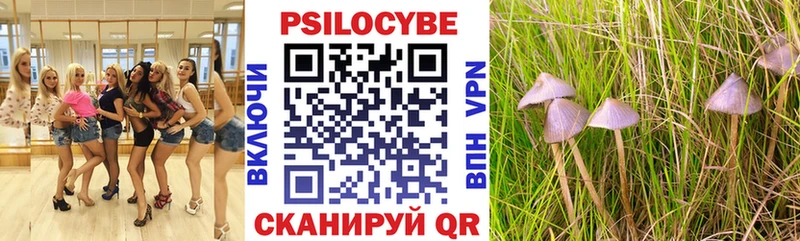 Псилоцибиновые грибы мицелий  Рязань 